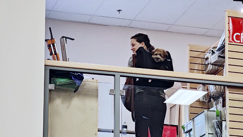 Me carrying Dagr in his dog carrier backpack while exploring a store.