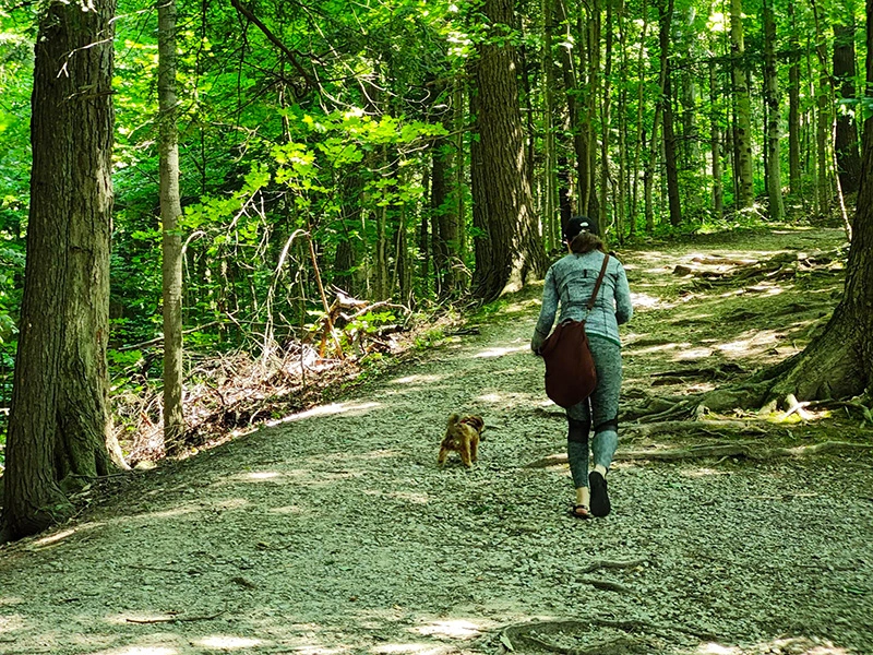 Overcoming sensory overwhelm through nature walks